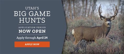 utah hunting odds|Big game .